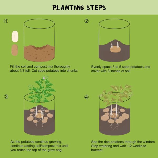 Potato Grow Bags with Flap 10 Gallon - Image 6