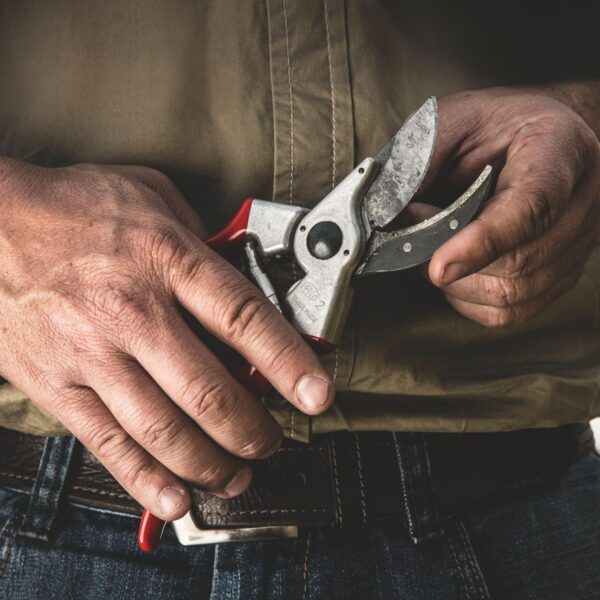FELCO F-2 068780 Classic Manual Hand Pruner - Image 7